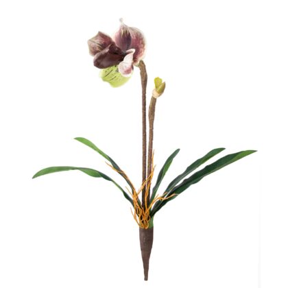HASTE ORQUIDEA CYPRIPEDIUM 3D - ALT 50 CM (XF008-5)