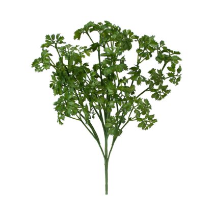 BUQUE FOLHAGEM DE COENTRO - ALT 38 CM (XS038)