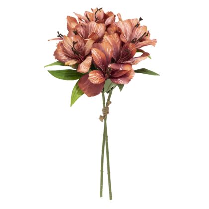 RAMALHETE ASTROMELIA - ALT 42 CM (XS055-LAE)