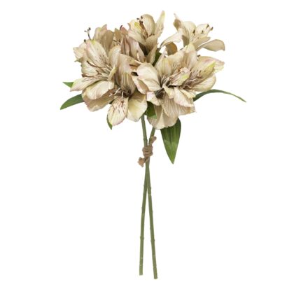 RAMALHETE ASTROMELIA - ALT 42 CM (XS055-MR)