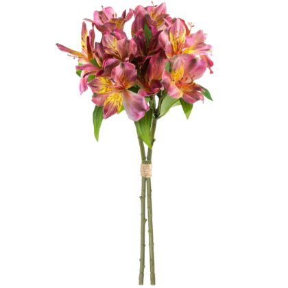 RAMALHETE ASTROMELIA VINHO - ALT 40 CM (XS055-VN)