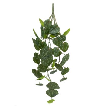 PENDENTE PEPEROMIA CAPERATA - ALT 75 CM (XS056)