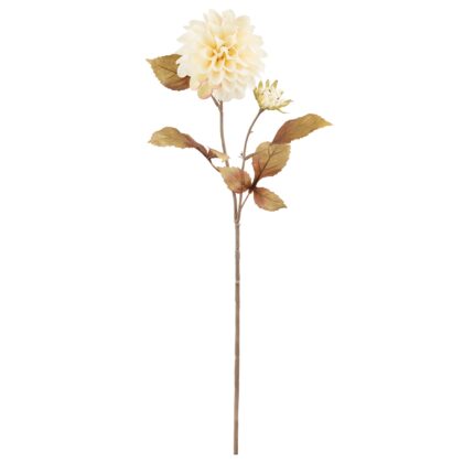 HASTE DALIA OUTONADO CREME - ALT 74 CM (XS061-1)