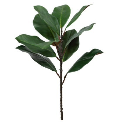 HASTE FOLHA DE MAGNOLIA TOQUE REAL - ALT 55 CM (MX085-VD)