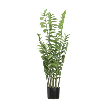 ARVORE ZAMIOCULCA - ALT 1,10 M (BA636)