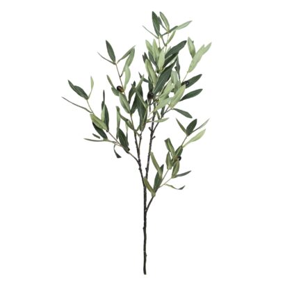 HASTE OLIVEIRA - ALT 75 CM (DS316)