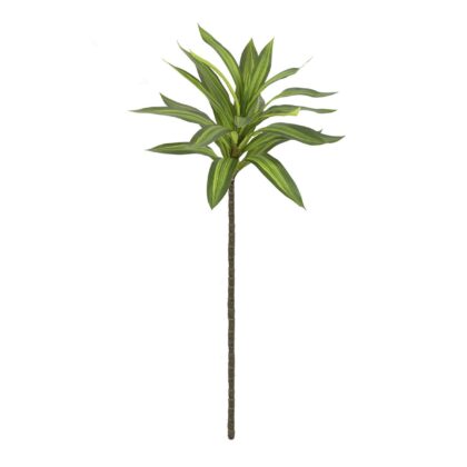 HASTE DRACENA - ALT 60 CM (MX306-VD)