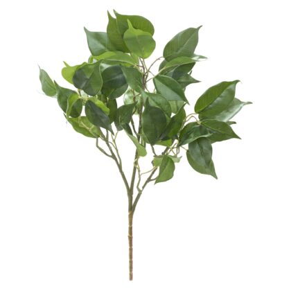 FOLHAGEM DE FICUS TOQUE REAL - ALT 58 CM (SM456)