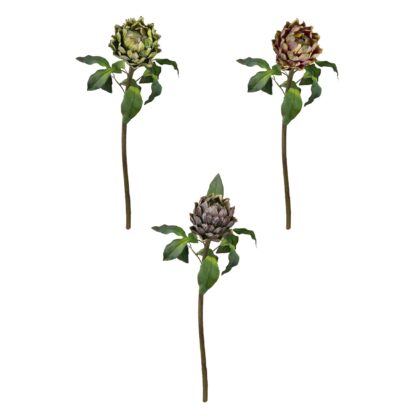 HASTE PROTEA ARISTATA (3 CORES) - ALT 63 CM (SY030)