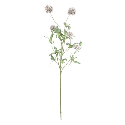 HASTE PRISTIMERA ROSA - ALT 95 CM (XS069-RS)