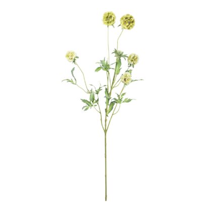 HASTE PRISTIMERA VERDE - ALT 95 CM (XS069-VD)