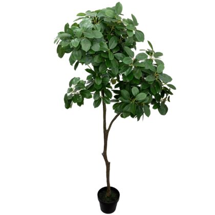 ARVORE LARANJEIRA - ALT 1,60 M (BA386)