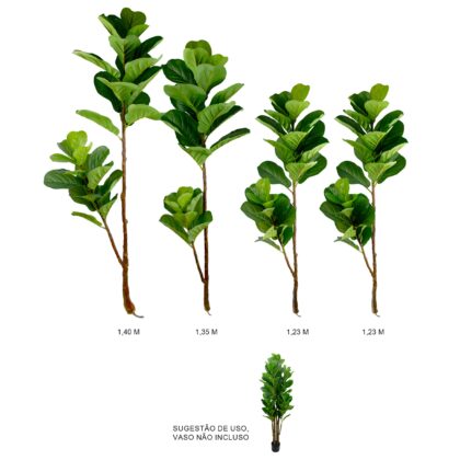 GALHO FICUS LYRATA X4 (SEM VASO) - ALT 1.40, 1.35, 1.23, 1.23 M (BA641)