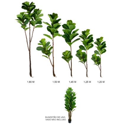 GALHO FICUS LYRATA X5 (SEM VASO) - ALT 1.80, 1.50, 1.45, 1.25, 1,20 M (BA642)