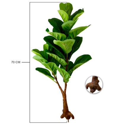 GALHO FICUS LYRATA (SEM VASO) - ALT 70 CM (BA643)