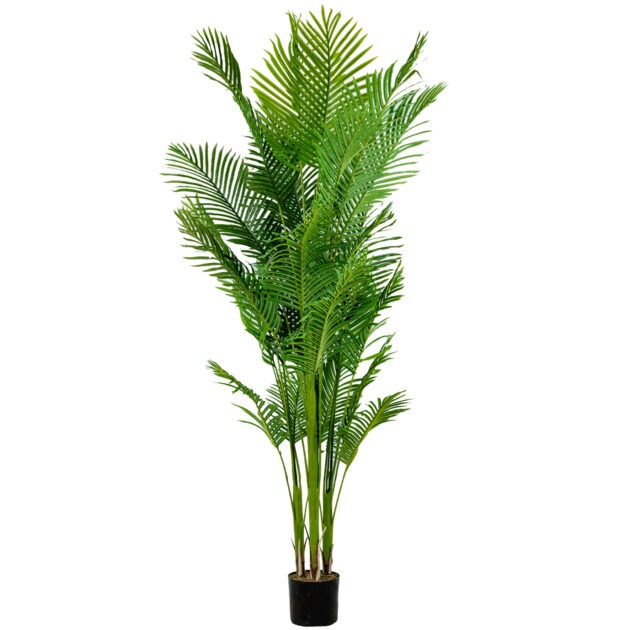 ARVORE PALMEIRA ARECA - ALT  2,10 M (BA645)
