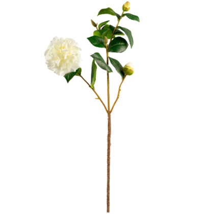 HASTE CAMELIA CREME - ALT 55 CM (MX850-1)
