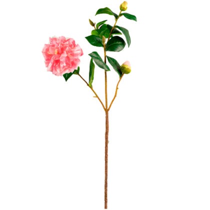 HASTE CAMELIA ROSA - ALT 55 CM (MX850-2)