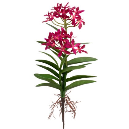 H. ORQUIDEA EPIDENDRUM TOQUE REAL MAGENTA - ALT 48 CM (SF347-1)