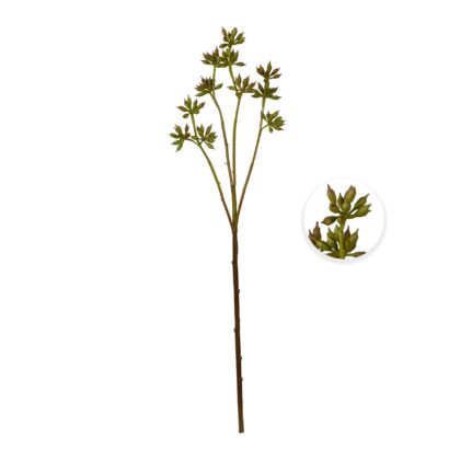 HASTE SEMENTE DE EUCALIPTO - ALT 60 CM (MX916)