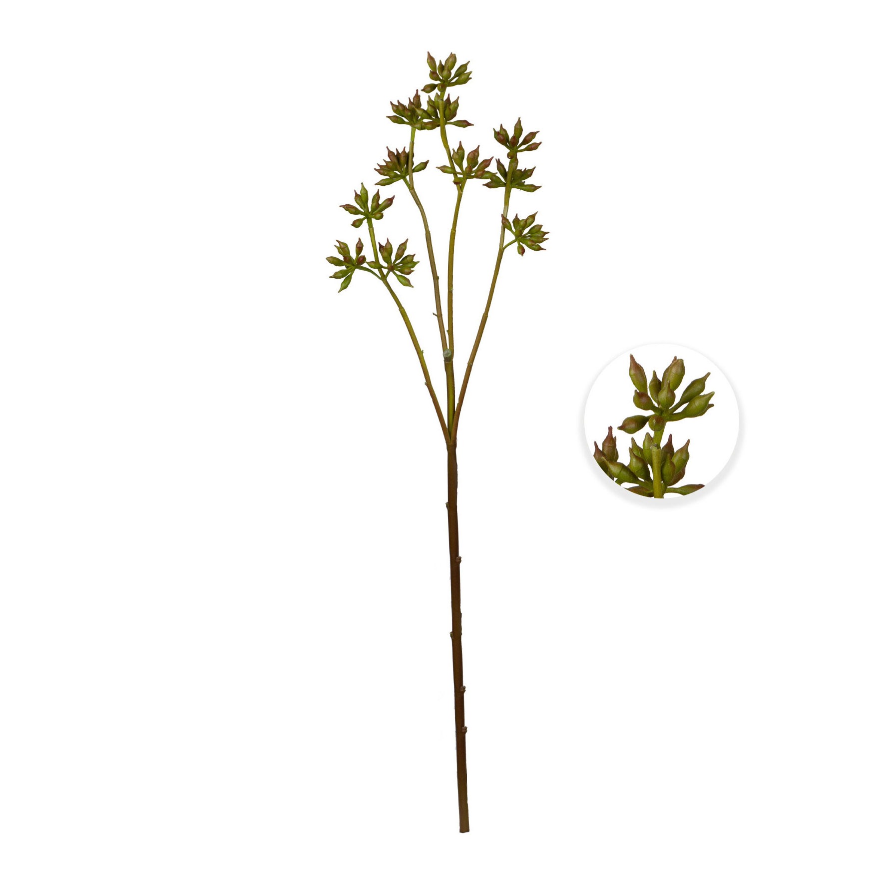 HASTE SEMENTE DE EUCALIPTO - ALT 60 CM (MX916)