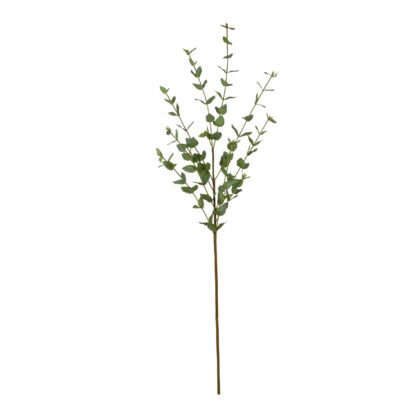 HASTE MINI EUCALIPTO - ALT 95 CM (MX904)