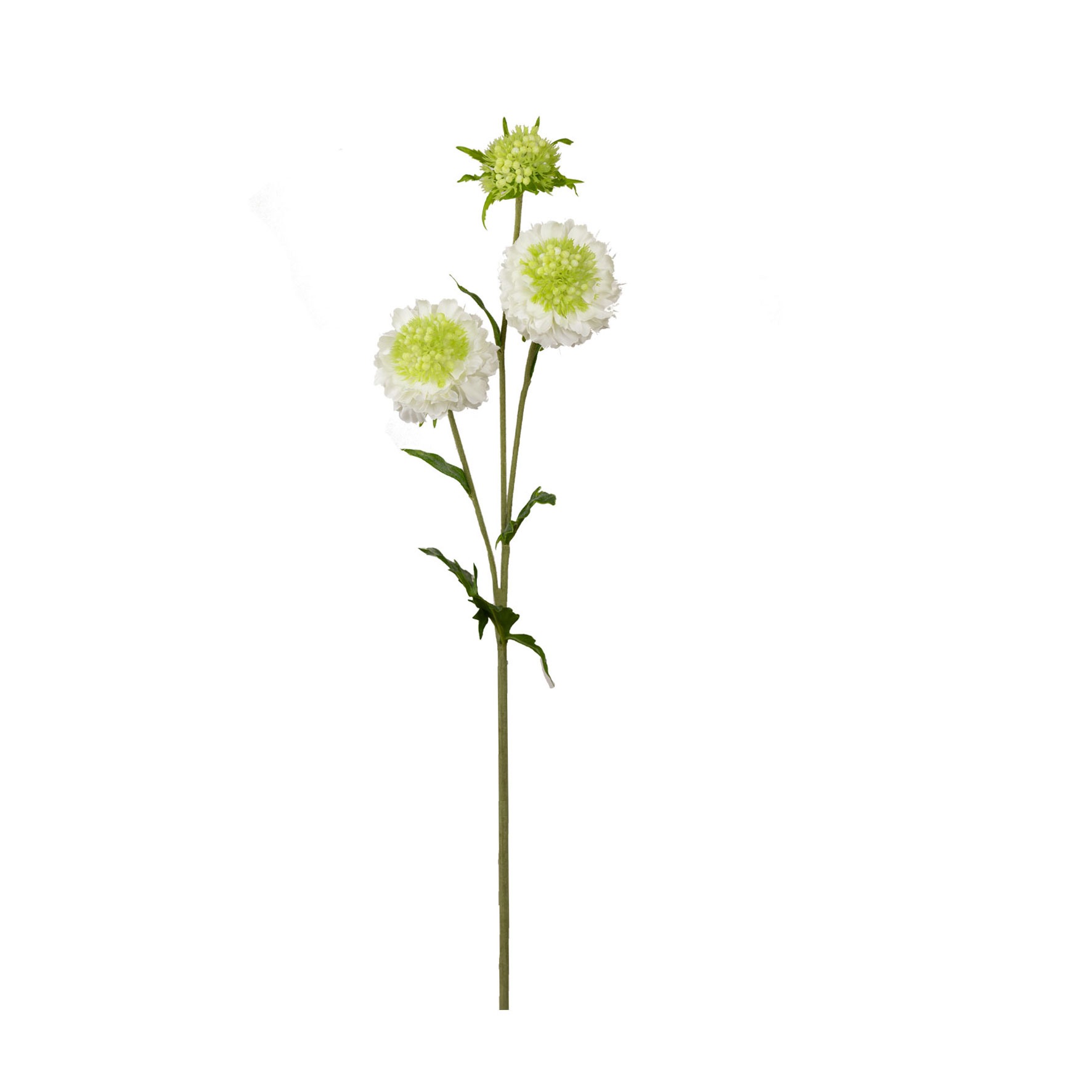 HASTE SCABIOSA BRANCO - ALT 77 CM (MX913-1)