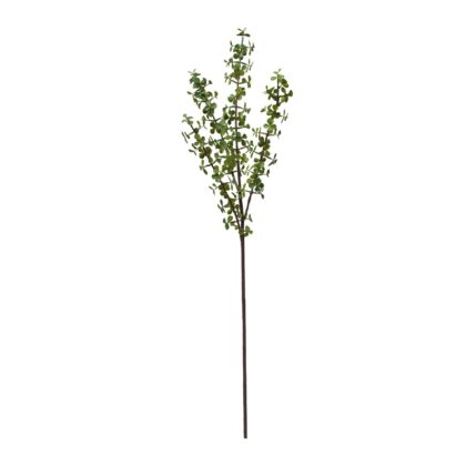 HASTE SUCULENTA - ALT 84 CM (MX918)