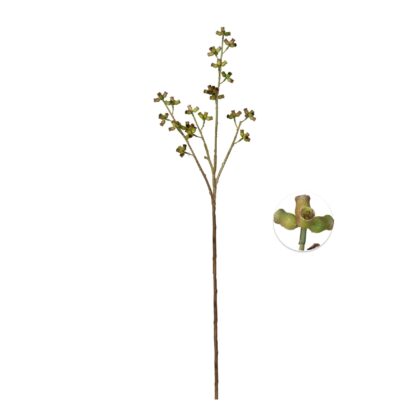 HASTE SEMENTE DE EUCALIPTO - ALT 75 CM (MX925)