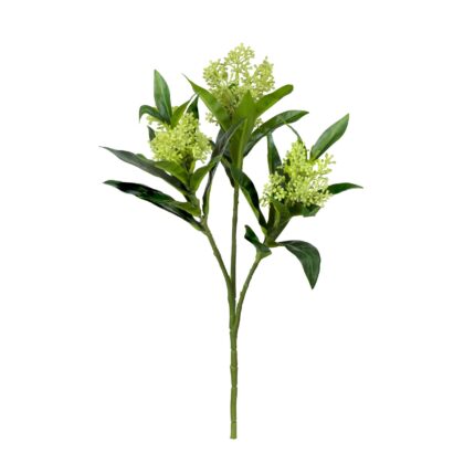 HASTE SKIMMIA OUTONADO VERDE - ALT 45 CM ( SH570-VD )