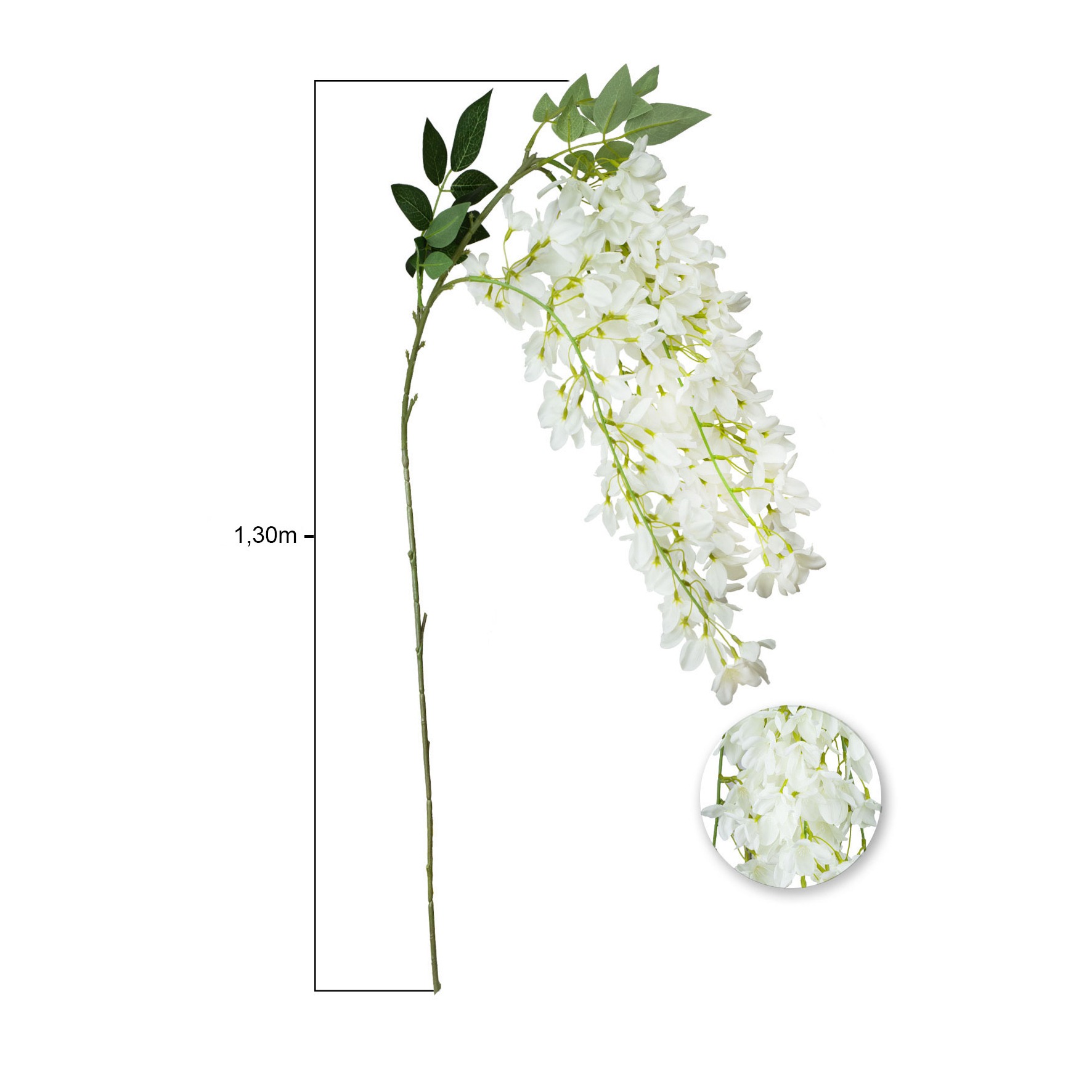 TREPADEIRA GLICINIA BRANCO - ALT 1,30 M (SY034-BR)