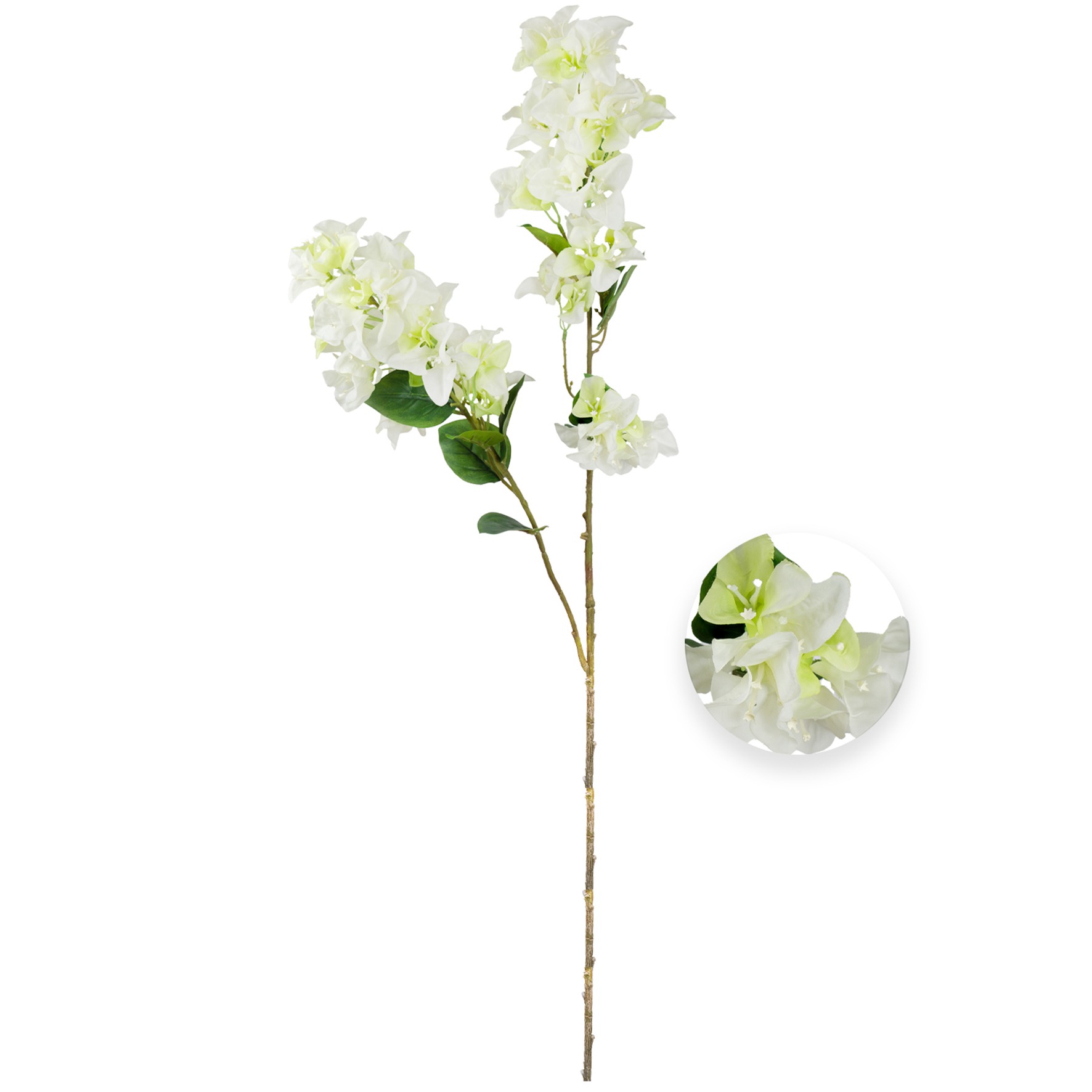 HASTE BOUGAINVILLEA BRANCO - ALT 1,05 M (XS071-BR)