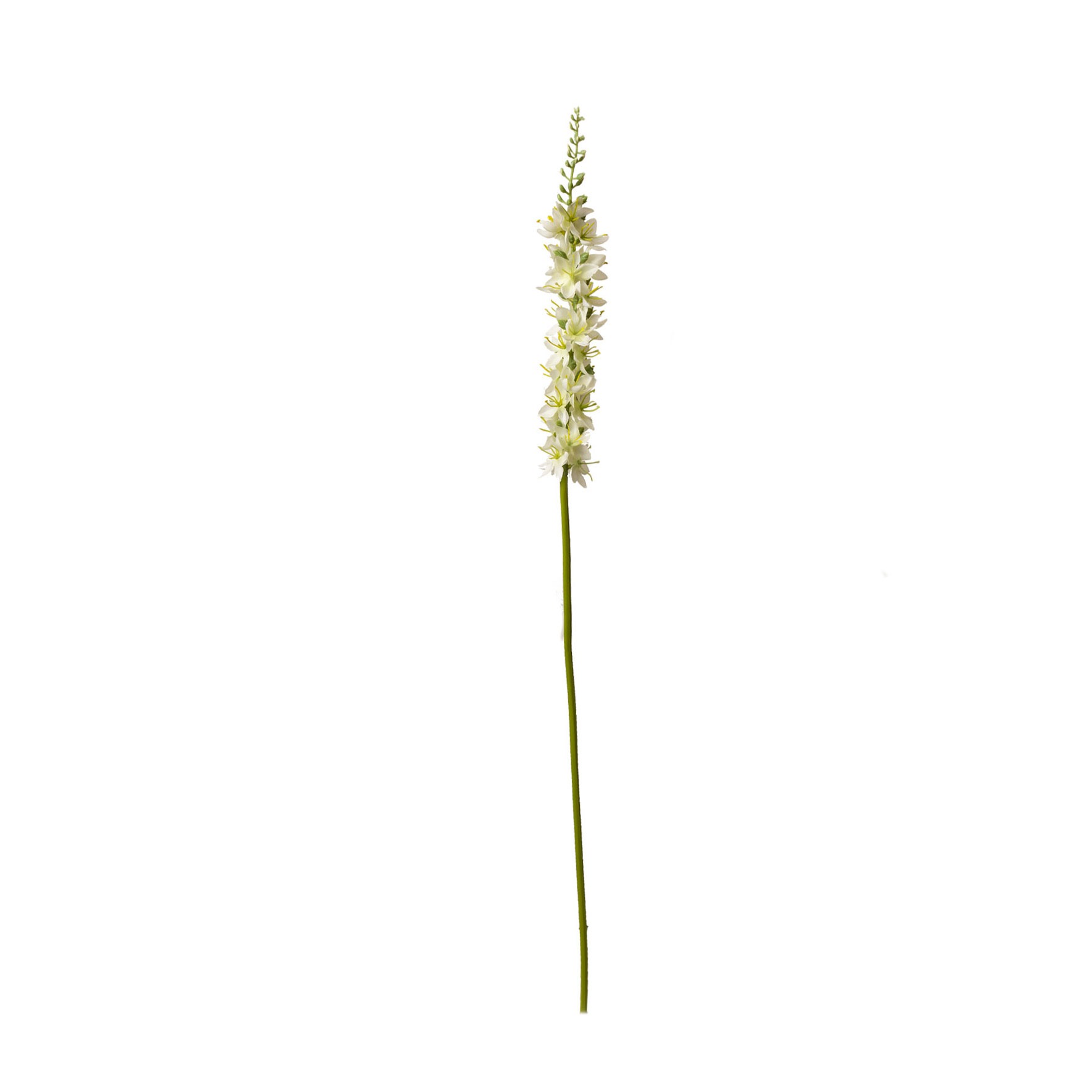 HASTE FOXTAIL LILY BRANCO - ALT 65 CM (MX912-1)