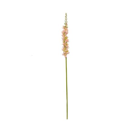 HASTE FOXTAIL LILY ROSA - ALT 65 CM (MX912-2)