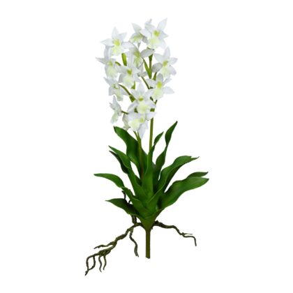 ORQUIDEA DENDROBIUM BRANCA - ALT 56 CM (MX920)