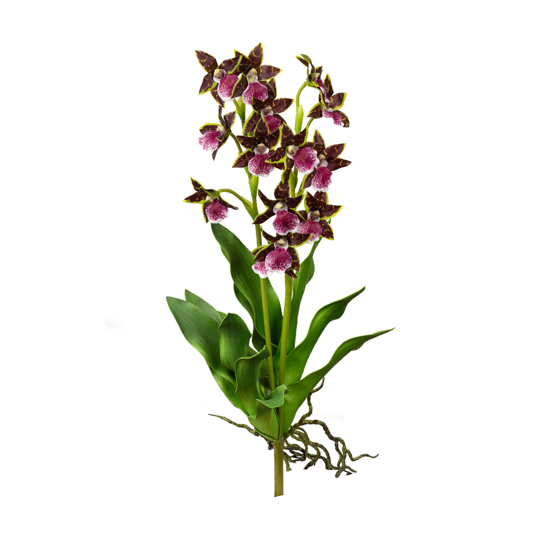 ORQUIDEA DENDROBIUM MAGENTA - ALT 56 CM (MX920-3)