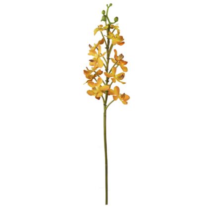 ORQUIDEA VANDA LARANJA - ALT 75 CM (MX921-1)