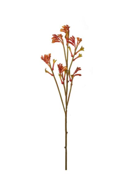 HASTE DEDO DE ANJO - ALT 80 CM (MX910-1)