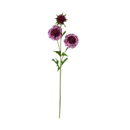 HASTE SCABIOSA ROSA - ALT 77 CM (MX913-2)