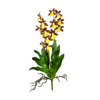 ORQUIDEA VANDA LARANJA - ALT 75 CM (MX921-1)