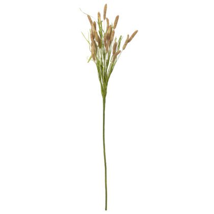 HASTE DE FOXTAIL MARROM - ALT 70 CM (AC080-MR)