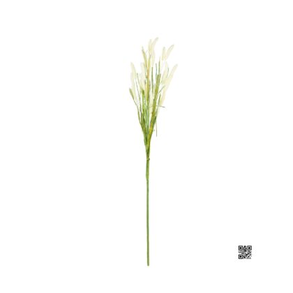 HASTE DE FOXTAIL CREME - ALT 70 CM (AC080-BR)