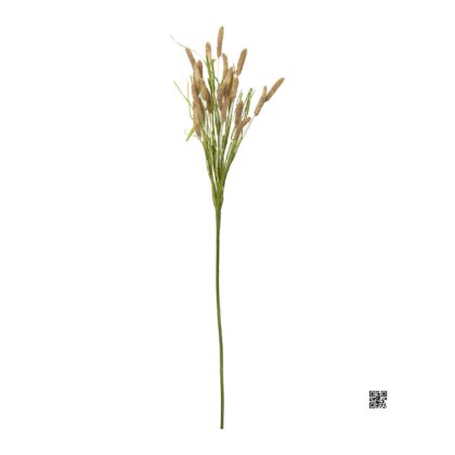 HASTE DE FOXTAIL MARROM - ALT 70 CM (AC080-MR)