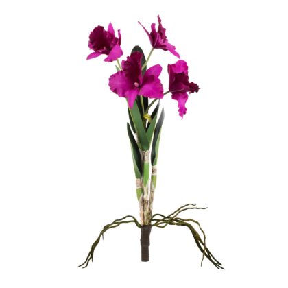HASTE ORQUIDEA CATTLEYA X2 - ALT 60 CM (SF350-2)