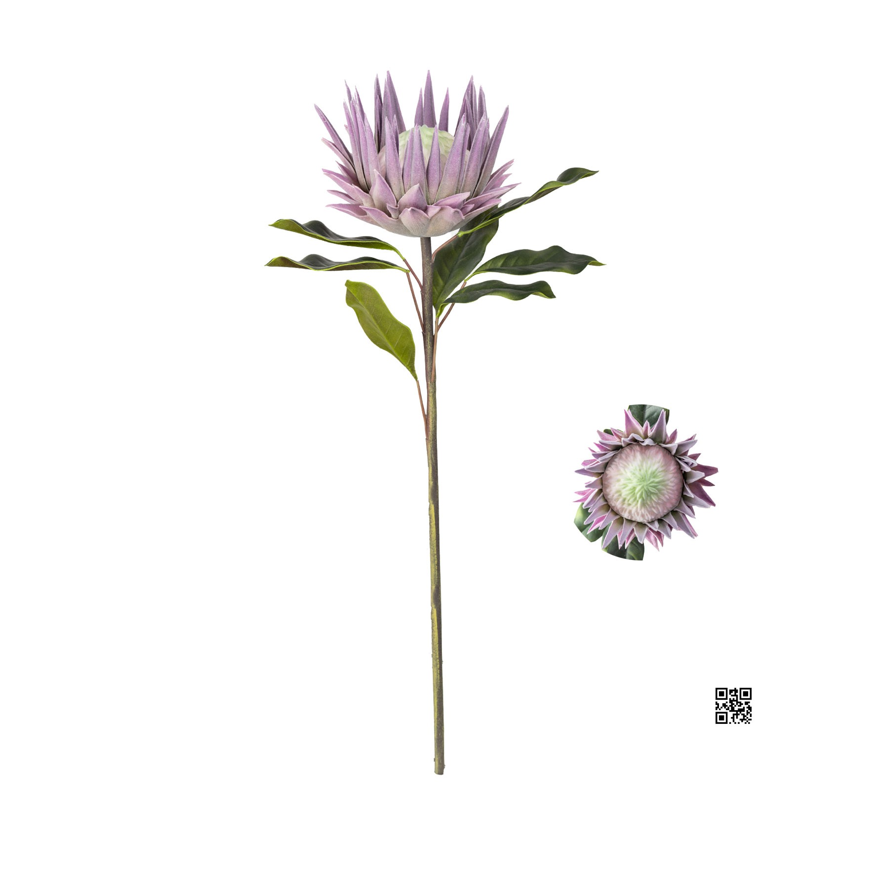 HASTE PROTEA P.U. TOQUE REAL LAVANDA - ALT 65 CM (CF025-RS)