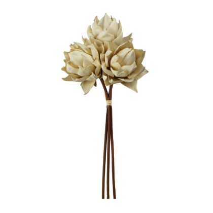 RAMALHETE PROTEA CREME X3 - ALT 35 CM (MX856-1)