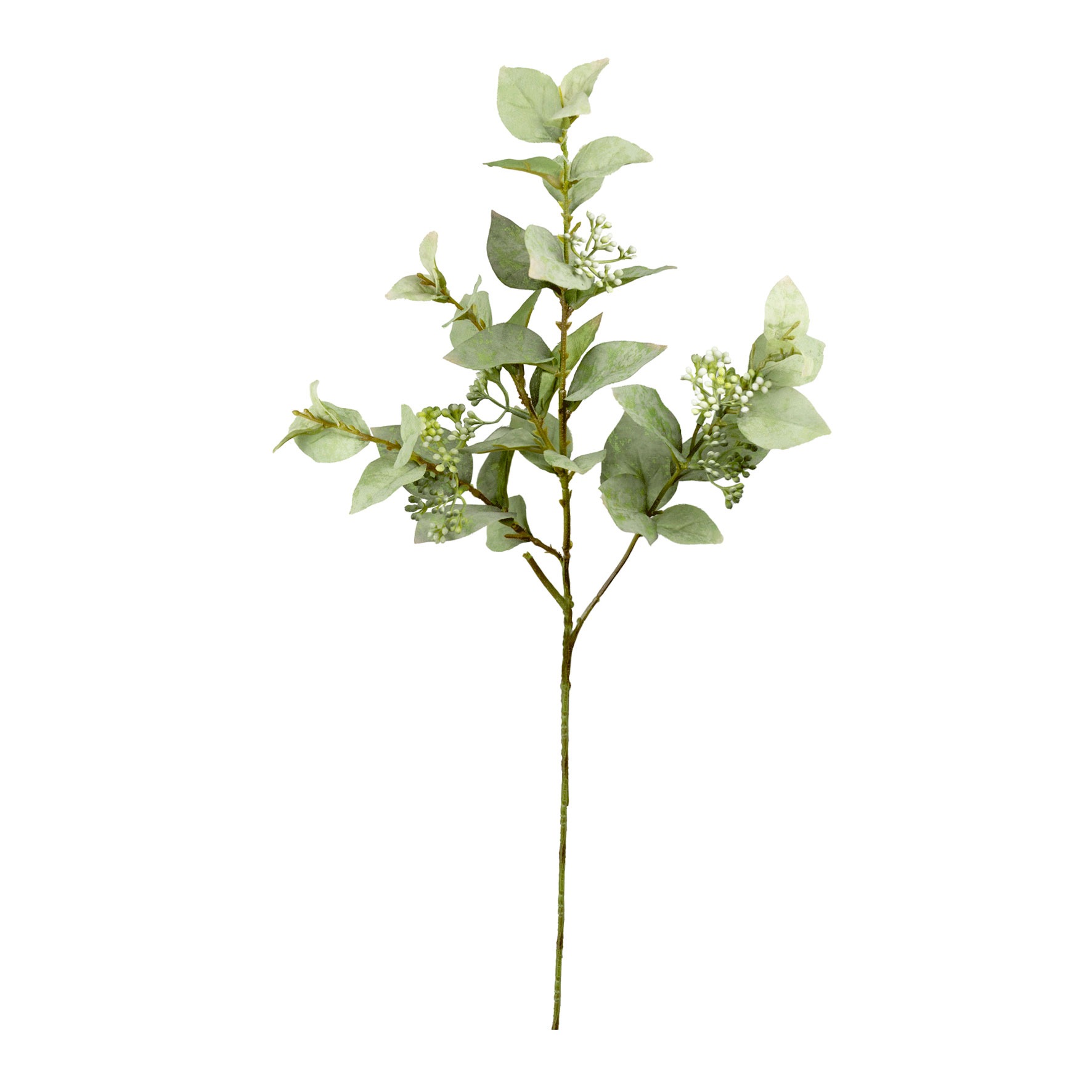 HASTE FOLHAGEM OUTONADA COM SEMENTE VERDE - ALT 65 CM (MX860-3)