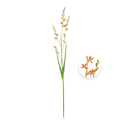 HASTE TRITONIA LARANJA - ALT 1,00 M (MX901-1)