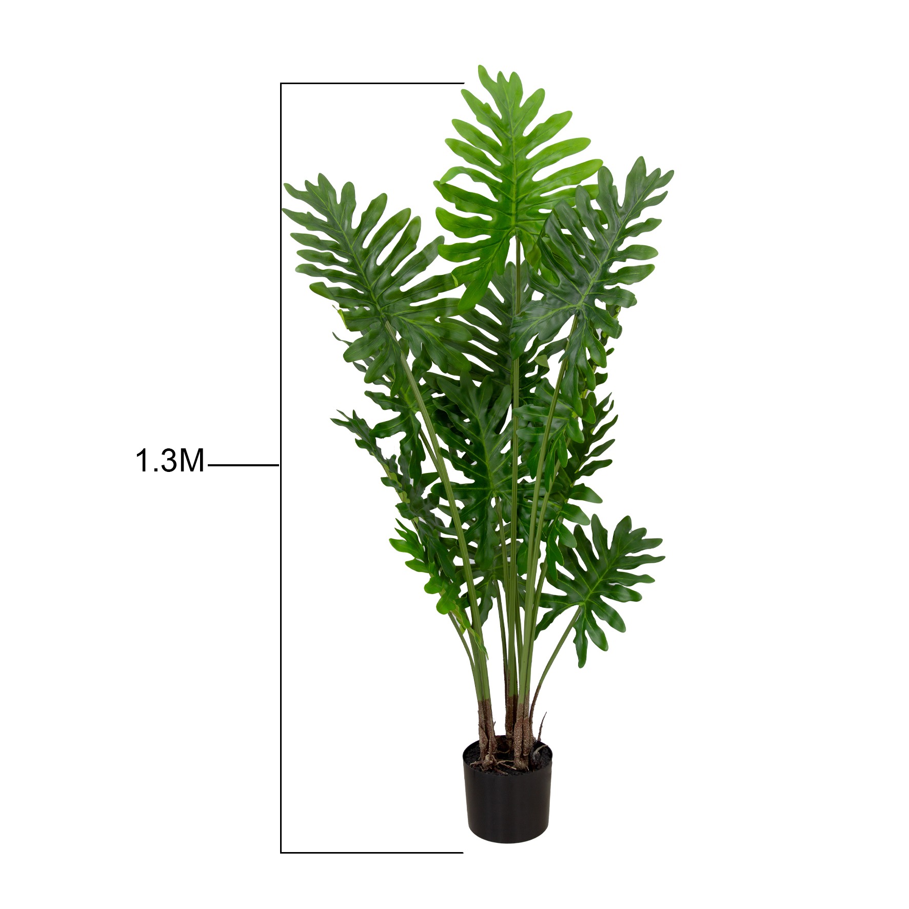 ARVORE GUAIMBE X 7 TOQUE REAL - ALT 1.30 M (BA659)