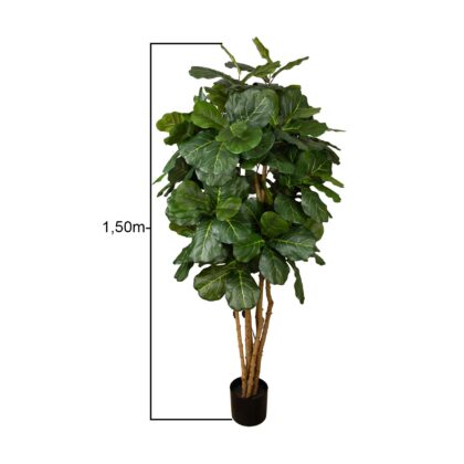 ARVORE FICUS LYRATA - ALT 1,50 M (BA663)
